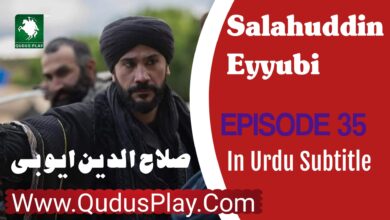 Salahuddin Ayyubi Episode 35 Review