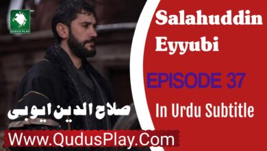 Salahuddin Ayyubi Episode 37 Review